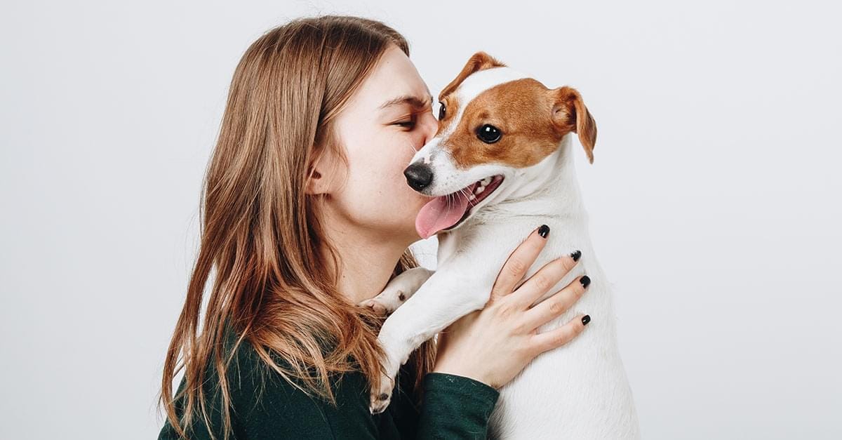 5 reasons why dogs lick their owners Pet Shey